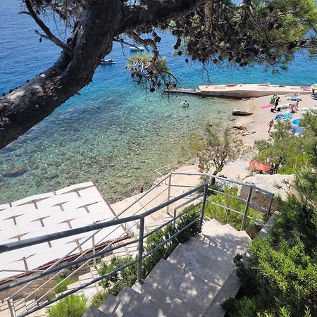 Luxury Apartments Villa Ruzmarina With New Heated Infinity Pool And Lounge Area Marusici (Split-Dalmatia) Exterior foto
